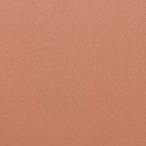 Tropical Dusty-Peach